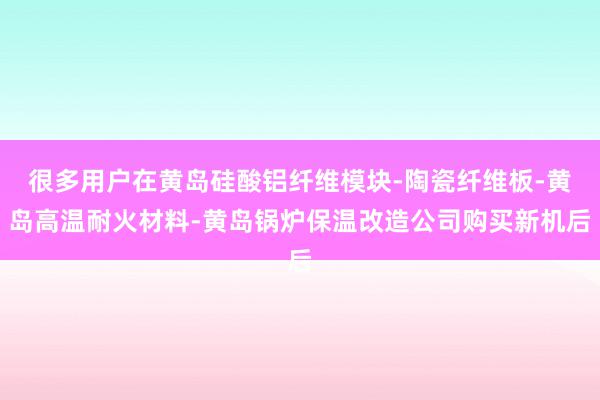 很多用户在黄岛硅酸铝纤维模块-陶瓷纤维板-黄岛高温耐火材料-黄岛锅炉保温改造公司购买新机后